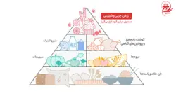 سس کنجد عقاب وزن 400 گرم