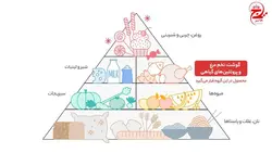 کنسرو ماهی تون در روغن زیتون تحفه - 180 گرم