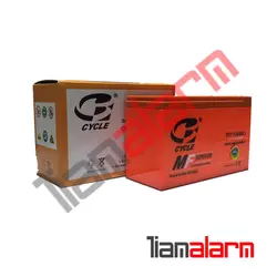 باطری دزدگیر اماکن 12ولت 7آمپر