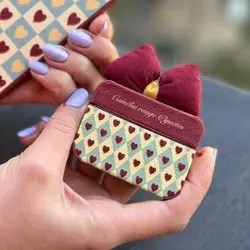 کاور ایرپاد 2 / 1 series استایلیش پاپیون زرشکی