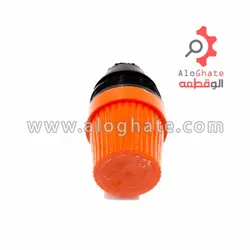 کلگی شیر اطمینان بلند