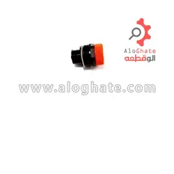 مغزی شیر اطمینان کوتاه