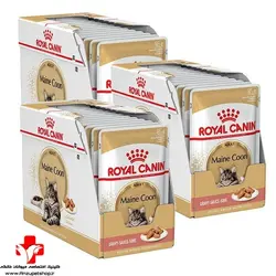 پوچ رویال کنین گربه  مین کون Pouch ROYAL CANIN  CAT Maine Coon 85gr