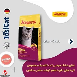 غذای خشک جوسرا گربه بالغ ماهی سالمون Josicat -Classic 10kg