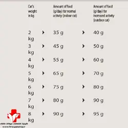 غذای خشک جونیور هپی کت یک کیلویی  HAPPY CAT gelfugel junor 1kg