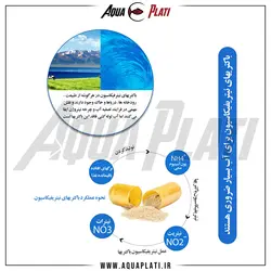 کپسول باکتری زنده کمپلکس آلیتا - آکوا پلاتی