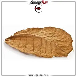 برگ بادام هندی یا برگ کاتاپا (Catappa Leaf)