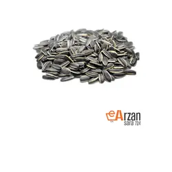 تخمه دو آتشه