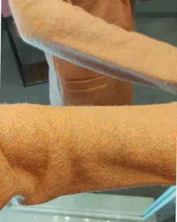 پالتو کچه کد 1101