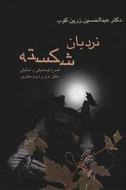 نردبان شکسته (زرکوب،وزیری،سخن)