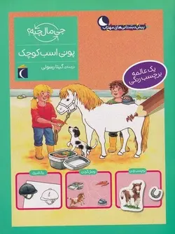 چی ماله چیه | پونی اسب کوچک