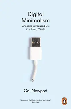 مینیمالیسم دیجیتال  DIGITAL MINIMALISM
