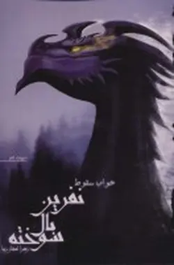 نفرین بال سوخته (جلد دوم:خواب سقوط)