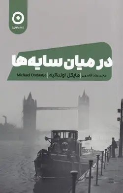 در میان سایه ها