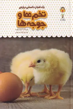 یک فنجان دانستنی درباره  تخم ها و جوجه ها