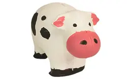 کیت گچ و قالب سازی گاو و گوسفند