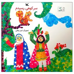 سر کوهی رسیدم