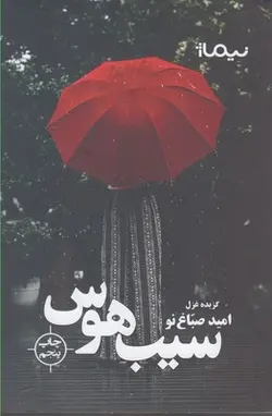 سیب هوس:گزیده غزل (پازل شعر امروز)