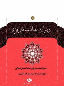 دیوان صائب تبریزی  | ۲جلدی