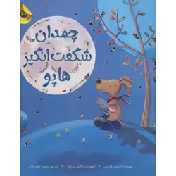 چمدان شگفت انگیز هاپو