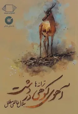 آهوی کوهی در دشت