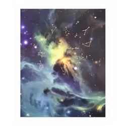 دفتر کلاسور برگ تحریر طرح جنگل