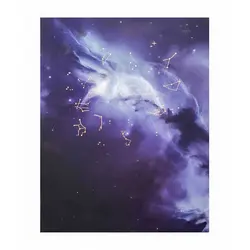 دفتر کلاسور برگ تحریر طرح حیوانات