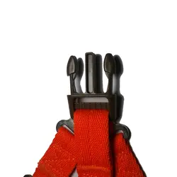 قلاده بدنی همراه با بند کد 300