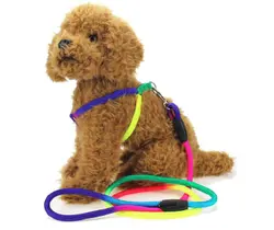 قلاده بدنی هفت رنگ با بند