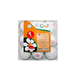 تخم مرغ بسته بندی 9 عددی آرنگ