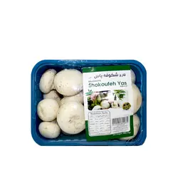 قارچ 400گرمی شکوفه یاس