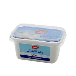پنیر لاکتیکی روجا 300 گرمی کاله