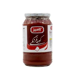 رب گوجه خانواده 1070گرمی کامبیز