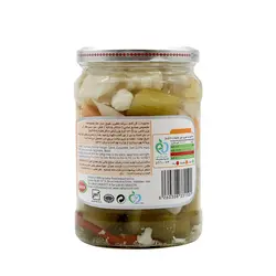 شور مخلوط شیشه 630گرمی سحر