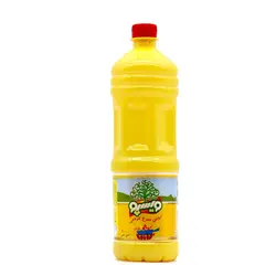 روغن سرخ کردنی 900 گرم ویسپو