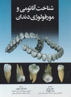 شناخت اناتومی و مورفولوزی دندان