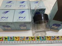 جاسنجاقی پرستوی دهه 60