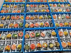 جعبه 12عددی ناخن گیرهای کوچک وزیبای قدیمی