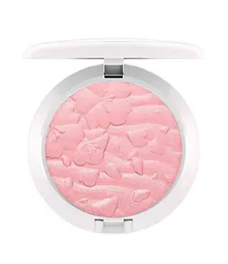 هایلایتر مک FLEUR REAL