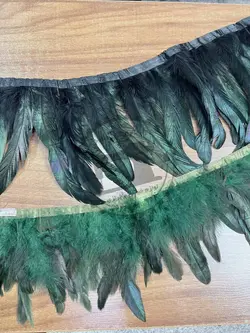 پر نواری بلند متری