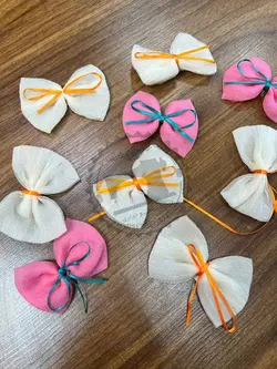 پاپیون حریر