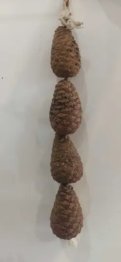 اسباب بازی پرندگان مدل میوه درخت کاج