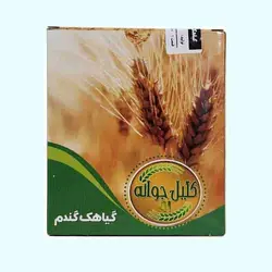گیاهک گندم 91کلیل جوانه - 200 گرم