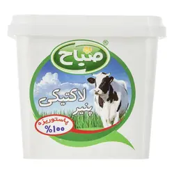 پنیر لاکتیکی صباح ۴۰۰ گرمی