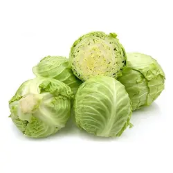 کلم پیچ سفید درجه ۱ وزن یک کیلوگرم
