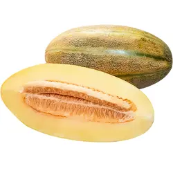 گرمک حدود 1/5 کیلوگرمی