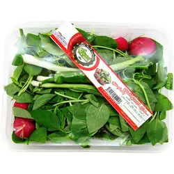 بسته سبزی خوردن مهدیس 130 گرمی
