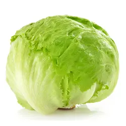 کاهو پیچ حدود 800 گرم