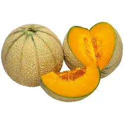 گرمک حدود 1 کیلوگرمی