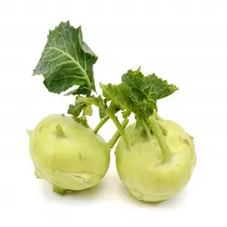کلم سنگ سبز حدود 850 گرمی